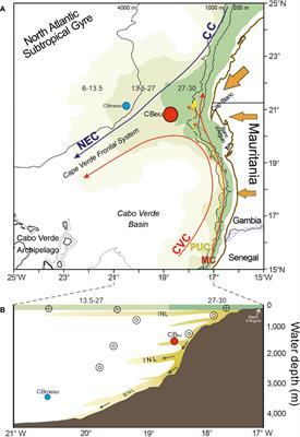 A 17-year time-series of diatom populations‘ flux and composition in the Mauritanian coastal upwelling
